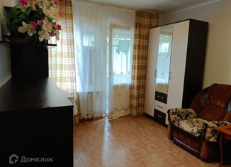 Сдается в аренду однокомнатная квартира, 30 м2, Нижнекамск, проспект Химиков, 70В