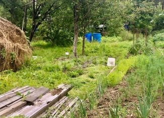 Продажа дома, 25 м2, село Корсаково-2, Дачная улица, 6