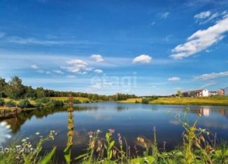 Продается земельный участок, 1917.2 сот., село Замьяны, улица Зверобоева