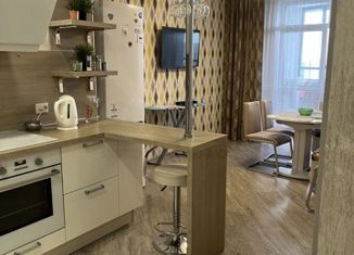 Сдаю в аренду однокомнатную квартиру, 57.1 м2, Екатеринбург, улица Белинского, 177Ак3, ЖК Александровский