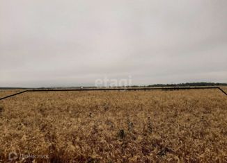 Продам участок, 235 сот., деревня Зиновьево, Верхняя улица