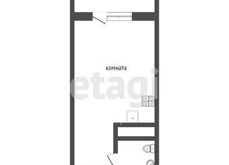 Продается квартира студия, 24.3 м2, Тюмень, улица Вице-адмирала Воронцова, 1, ЖК Первая линия. Гавань