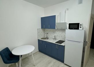 Сдаю квартиру студию, 21 м2, Санкт-Петербург, Кубинская улица, 82к3, Московский район