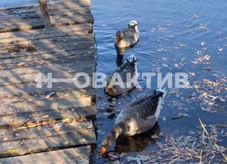 Продаю земельный участок, 5 сот., садовое товарищество Недра, Озёрная улица