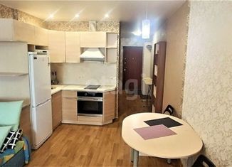 Продам квартиру студию, 28 м2, Новосибирск, Покатная улица, 130/1, метро Октябрьская