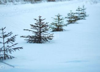 Продаю дом, 100 м2, деревня Шалайково, деревня Шалайково, 13