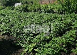 Продам участок, 4 сот., СНТ Бызгун