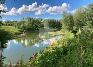 Продам участок, 26 сот., деревня Смолино, Луговая улица, 4