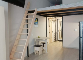 Продаю квартиру студию, 24.1 м2, Санкт-Петербург, Тихоокеанская улица, 1к1, Выборгский район