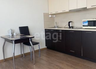Аренда квартиры студии, 24.3 м2, Тюмень, Червишевский тракт, 47