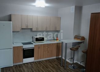 Сдаю квартиру студию, 29.6 м2, посёлок Садовый, микрорайон Околица, 2