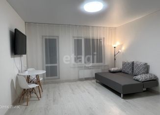 Продаю квартиру студию, 27.3 м2, Колпино, Понтонный проезд, 6