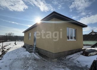 Дом на продажу, 60 м2, село Пушкарное, Пушкарская улица, 20