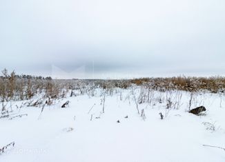 Продам земельный участок, 10.08 сот., село Беркут, Садовая улица, 13