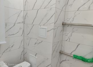 Продам 1-комнатную квартиру, 40 м2, село Засечное, Соборная улица, 2, ЖК Весна