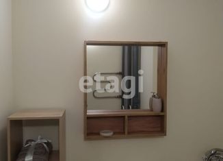 Продажа квартиры студии, 32.6 м2, поселок городского типа Емельяново, Новая улица, 21Б