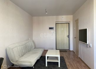 Продаю квартиру студию, 24.6 м2, микрорайон Вишнёвая Горка, улица Вишнёвая Аллея, 5