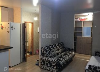 Продажа однокомнатной квартиры, 31.9 м2, Нижегородская область, Инженерный проезд, 1к1