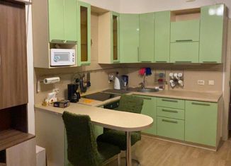 Сдам в аренду квартиру студию, 27 м2, деревня Кудрово, Столичная улица, 3