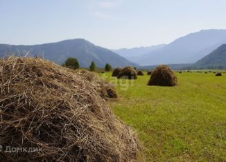 Продам земельный участок, 100 сот., село Мульта, Школьная улица