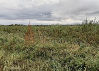 Продажа земельного участка, 12.23 сот., село Ясное, Серебряная улица, 29