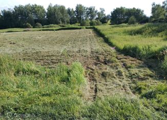 Продажа участка, 6 сот., деревня Климовка, деревня Климовка, 49
