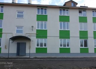 Продается двухкомнатная квартира, 70.8 м2, деревня Выбити, Центральная улица, 79