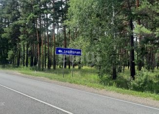 Продаю участок, 10 сот., деревня Заборская