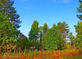 Продается земельный участок, 15 сот., поселок Сикопохья