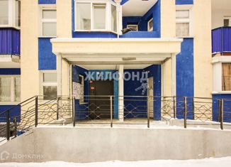 Продается квартира студия, 22 м2, Новосибирск, Березовая улица, 19, Березовая улица