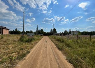 Продается участок, 10 сот., дачный посёлок Разгуляй, дачный посёлок Разгуляй, 15