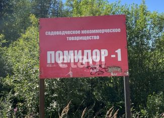 Земельный участок на продажу, 9.85 сот., село Выльгорт