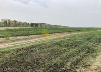 Участок на продажу, 15 сот., деревня Покрово-Иртышское, Береговая улица