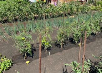 Продается дом, 16 м2, СНТ Рассвет, Центральная улица