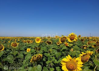 Продаю участок, 760 сот., Ульяновская область