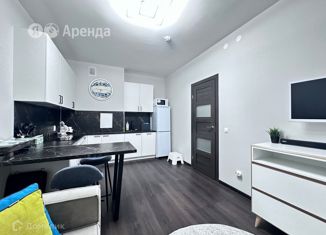 Сдаю 1-ком. квартиру, 32 м2, Санкт-Петербург, Тосина улица, 6