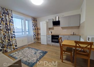 Сдам в аренду квартиру студию, 26.2 м2, Мурино, Екатерининская улица, 6к1, ЖК Виктория