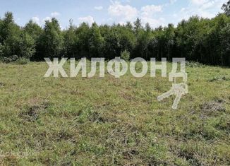 Продажа земельного участка, 16.09 сот., посёлок Октябрьский, Октябрьская улица, 14