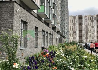 Аренда квартиры студии, 24.2 м2, Мурино, Петровский бульвар, 12к2, ЖК Краски Лета