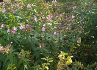 Продажа дома, 20 м2, посёлок городского типа Знаменка