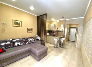 Продается квартира студия, 26 м2, Анапа, Парковая улица, 61, ЖК Привилегия