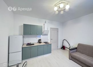 Квартира в аренду студия, 21 м2, Санкт-Петербург, Планерная улица, 95к1, ЖК Нью Тайм
