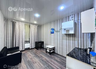 Однокомнатная квартира в аренду, 20 м2, Ленинградская область, Степной проспект, 16к2