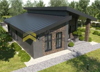 Продажа дома, 77 м2, село Дружино, Уютная улица, 22