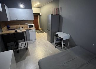 Сдача в аренду квартиры студии, 22 м2, Самара, Заводское шоссе, 59Б, метро Юнгородок