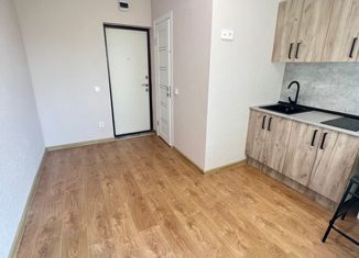 Продается квартира студия, 14 м2, Татарстан, улица Татарстан, 3/2