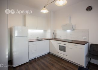 Сдается 1-комнатная квартира, 33 м2, Санкт-Петербург, Пулковское шоссе, 73к3, муниципальный округ Пулковский Меридиан