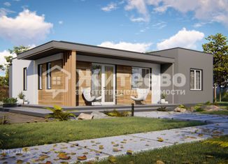 Продам дом, 104 м2, деревня Осиновка