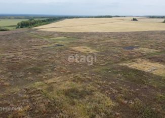 Продам земельный участок, 8.7 сот., деревня Большие Акияры