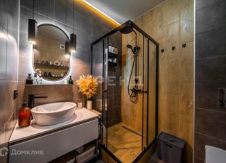 Продажа квартиры студии, 30.4 м2, Санкт-Петербург, метро Звёздная, улица Фёдора Котанова, 5к2
